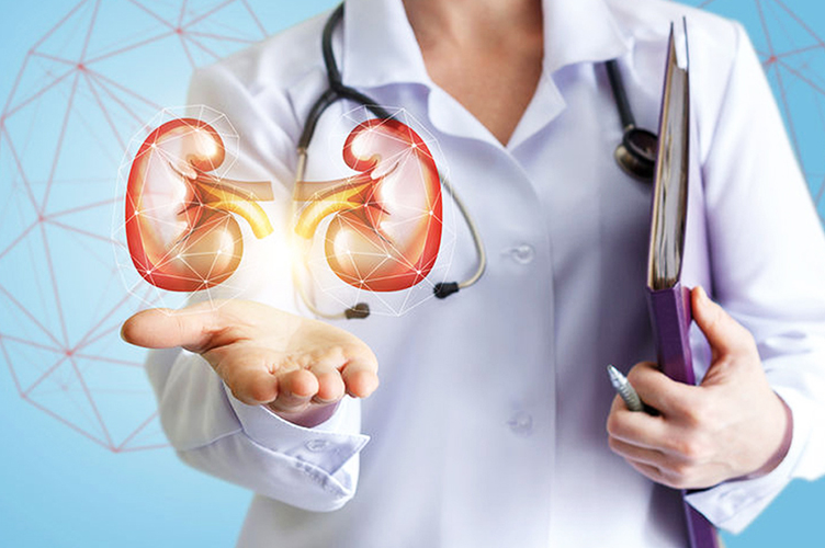 Nephrology Hospital Howrah, Best Hospital For Kidney in Howrah, nephrologists in howrah, kidney clinic in howrah, kidney specialists in howrah, kidney specialist doctors in howrah, nephrology clinic in howrah, nephrology doctors in howrah, kidney disease treatment in howrah, kidney disease doctors in howrah, renal transplant surgery in howrah kidney transplat surgery in howrah, renal surgeons in howrah